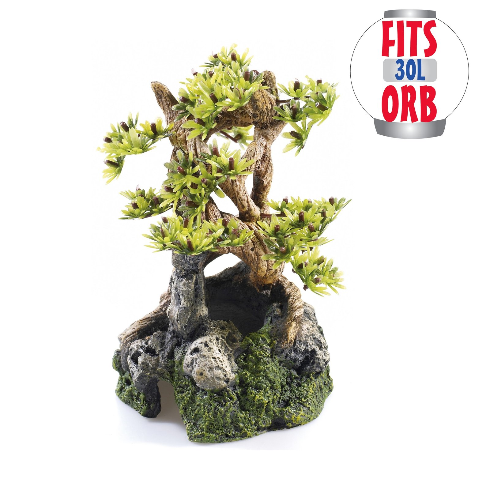 Bonsai on Rocks T&amp;OM