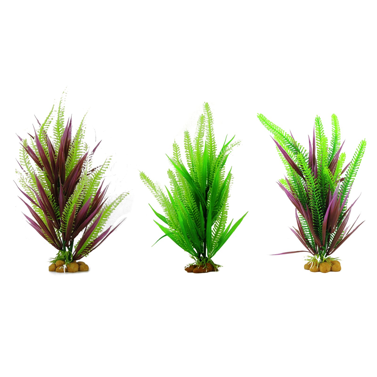 Assorted Aquatic Plants 25cm