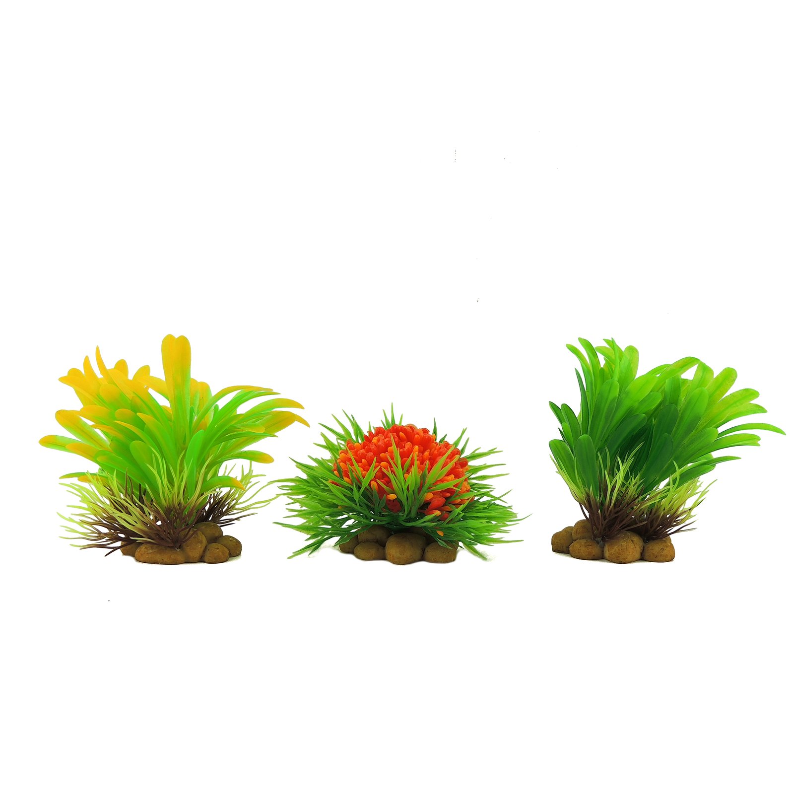 Assorted Aquatic Plants 8cm