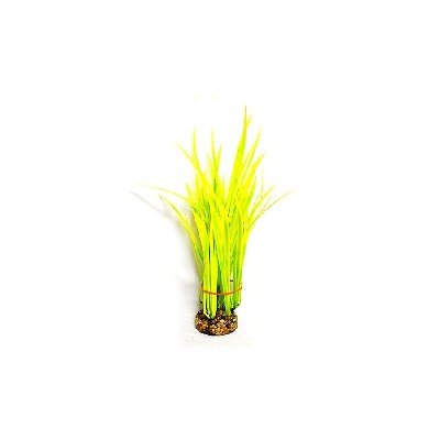 # Aquatic Grass Plant Yellow/Green
