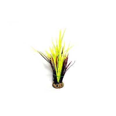 Aquatic Grass Plant Yellow/Red