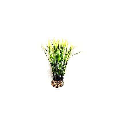 # Aquatic Grass Plant Green/Green