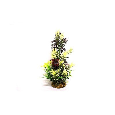 Aquatic Leaf Fern Plant Green/Red