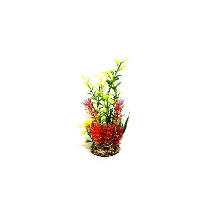 # Aquatic Leaf Fern Plant Red/Green/Yellow