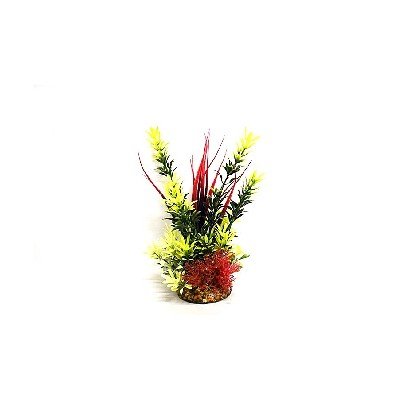 Aquatic Fern Plant Red/Green/Yellow