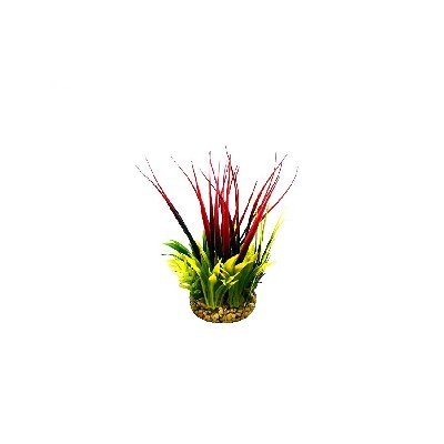 Aquatic Grass Leaf Plant Red/Yellow/Green