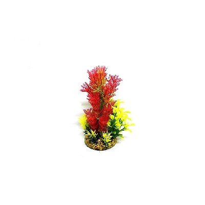 # Aquatic Fern Plant Red/Yellow
