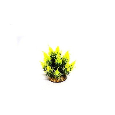 # Aquatic Fern Plant Yellow/Green