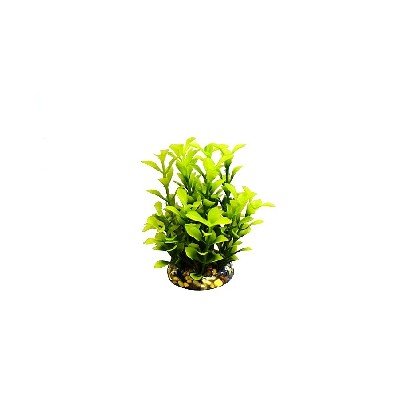 Aquatic Leaf Plant Yellow/Red