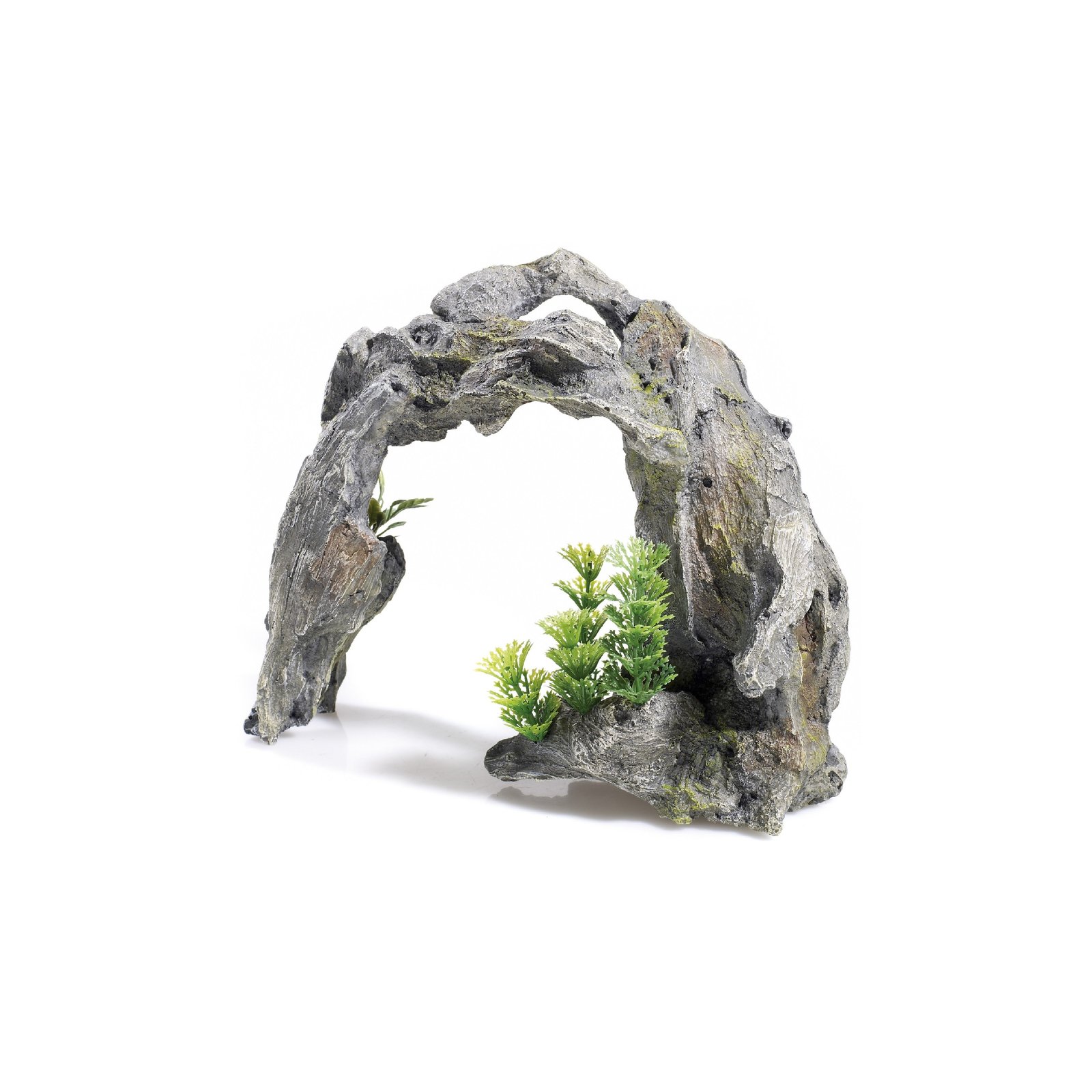 Driftwood Arch with Plant