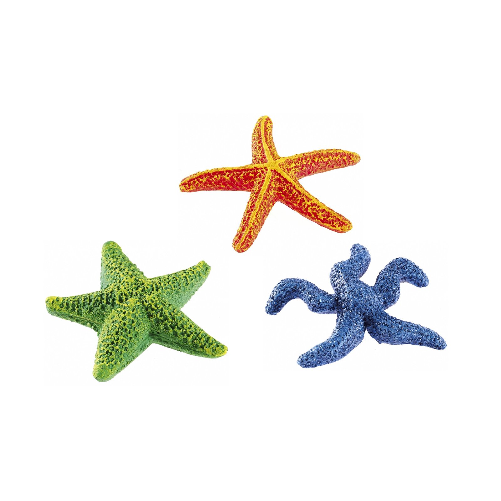Starfish Assortment