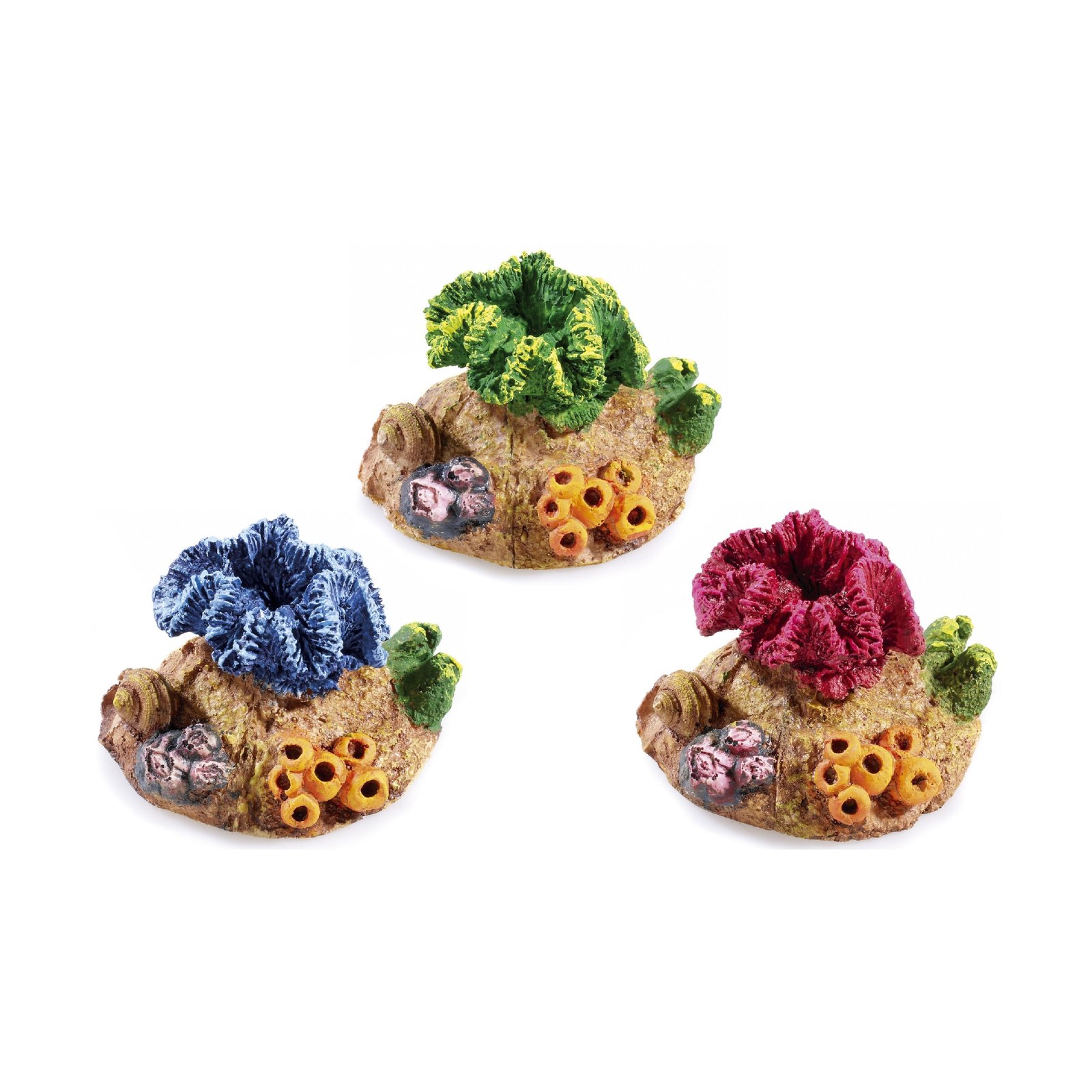 Mini Coral Assortment