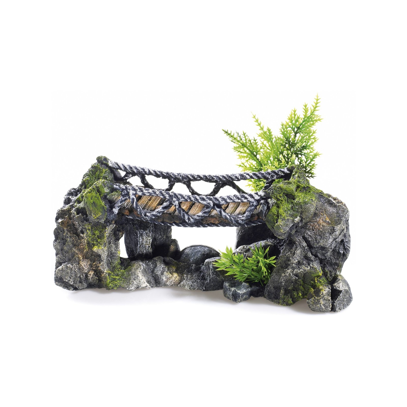 Rocky Rope Bridge