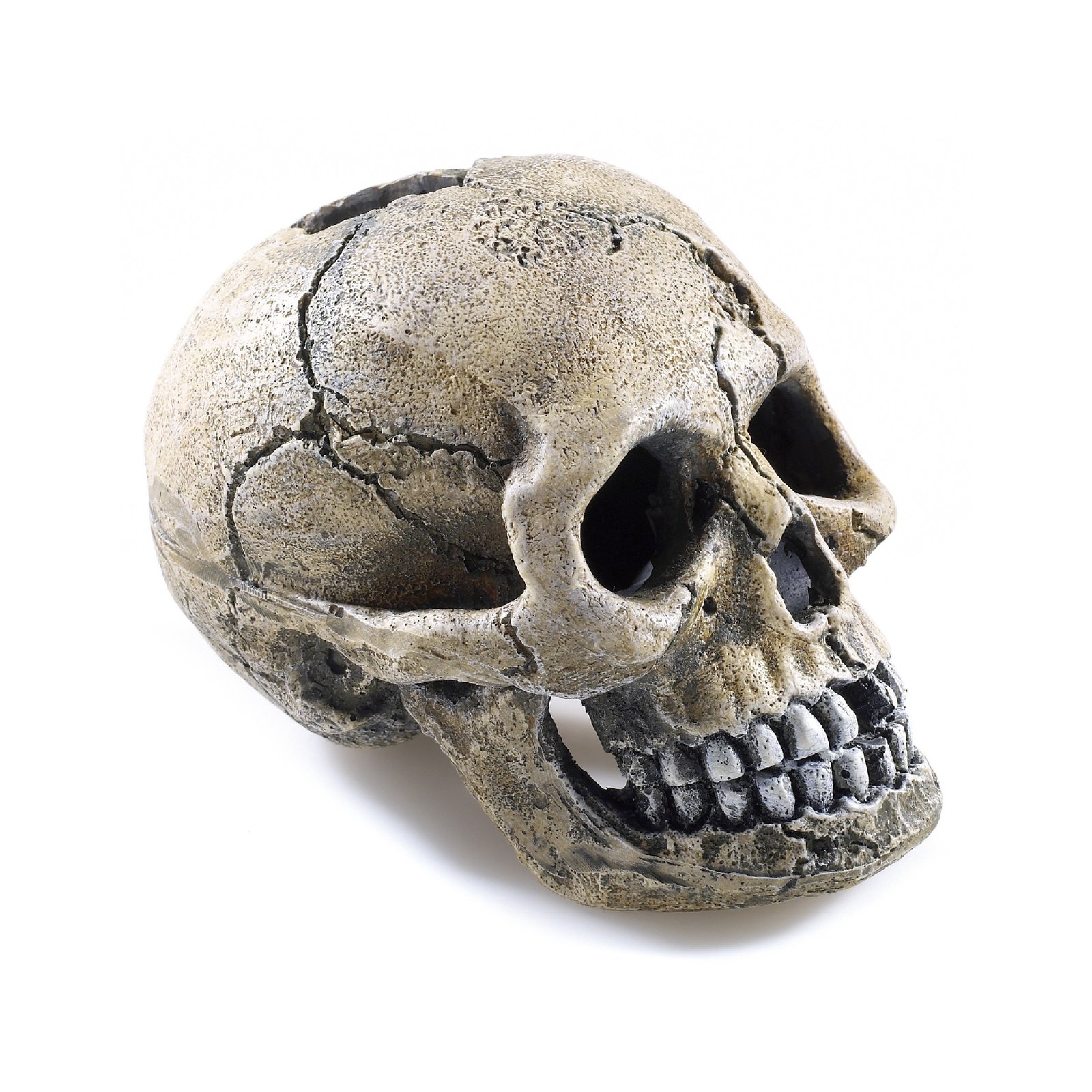 Spooky Skull