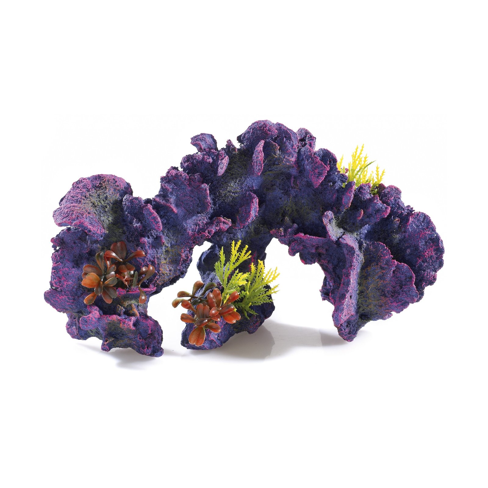 Large Coral Garden