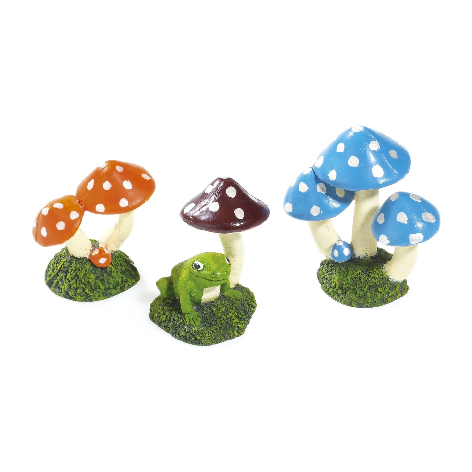 Mushroom Assortment