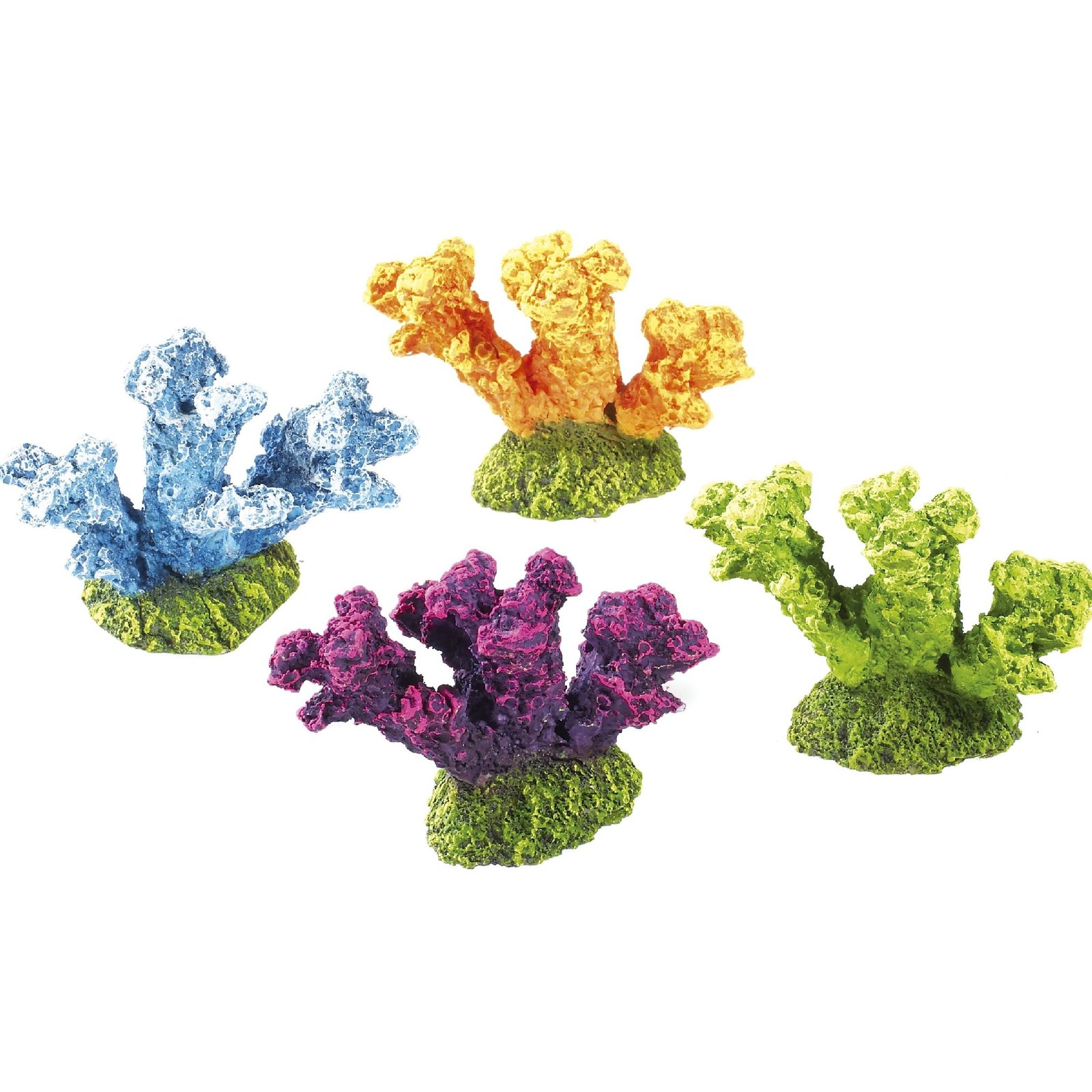Coloured Coral
