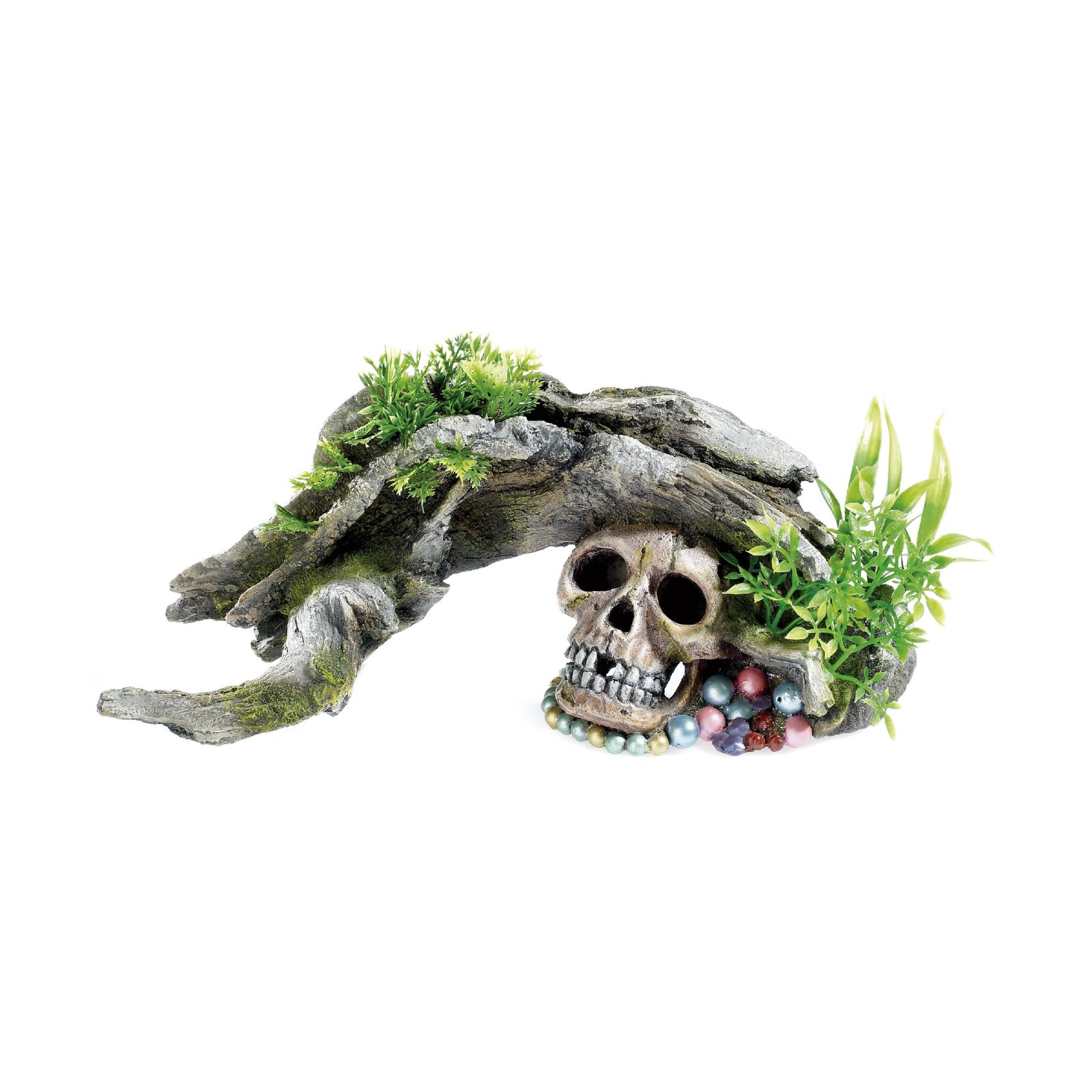 Wood &amp; Skull with Plants