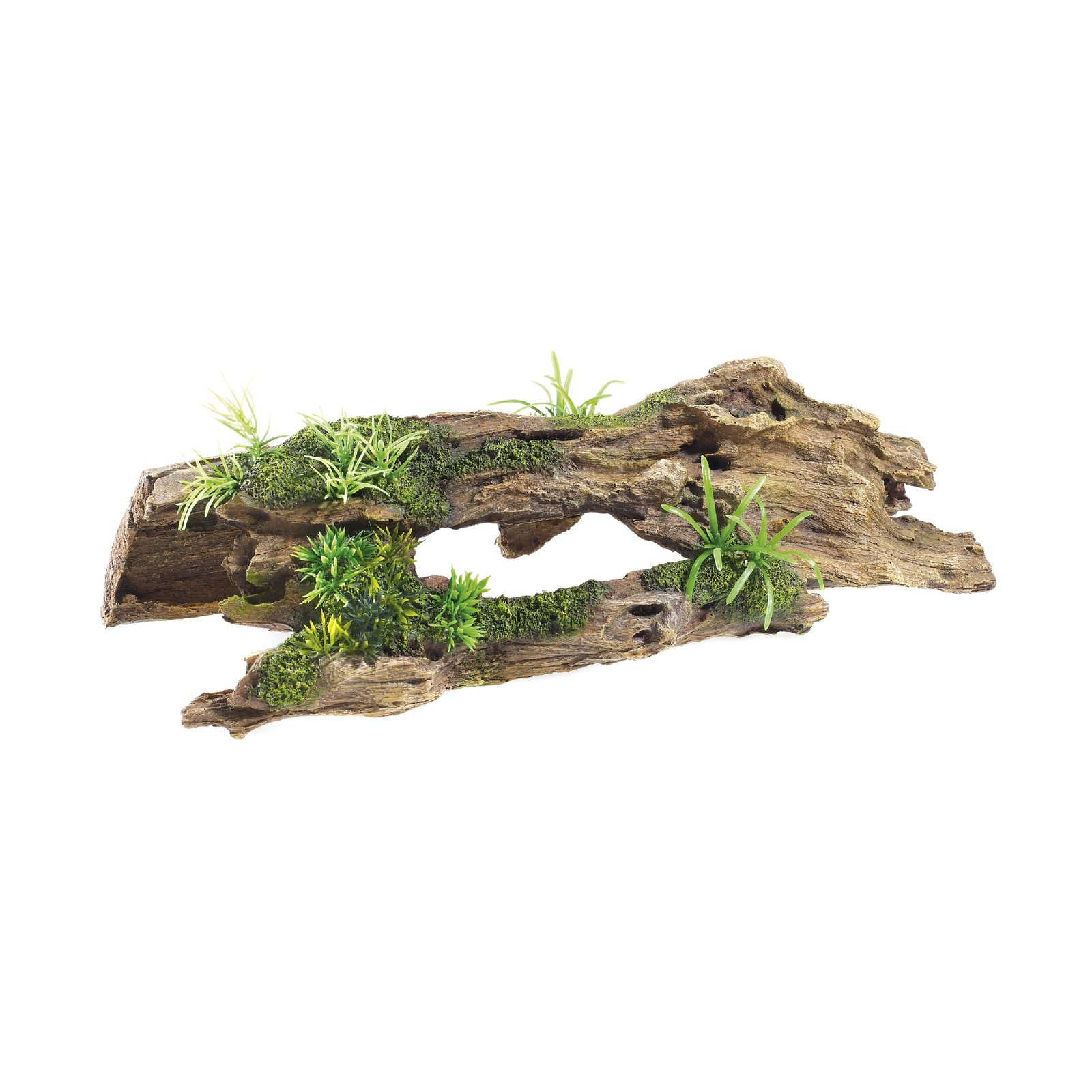Driftwood / Plants