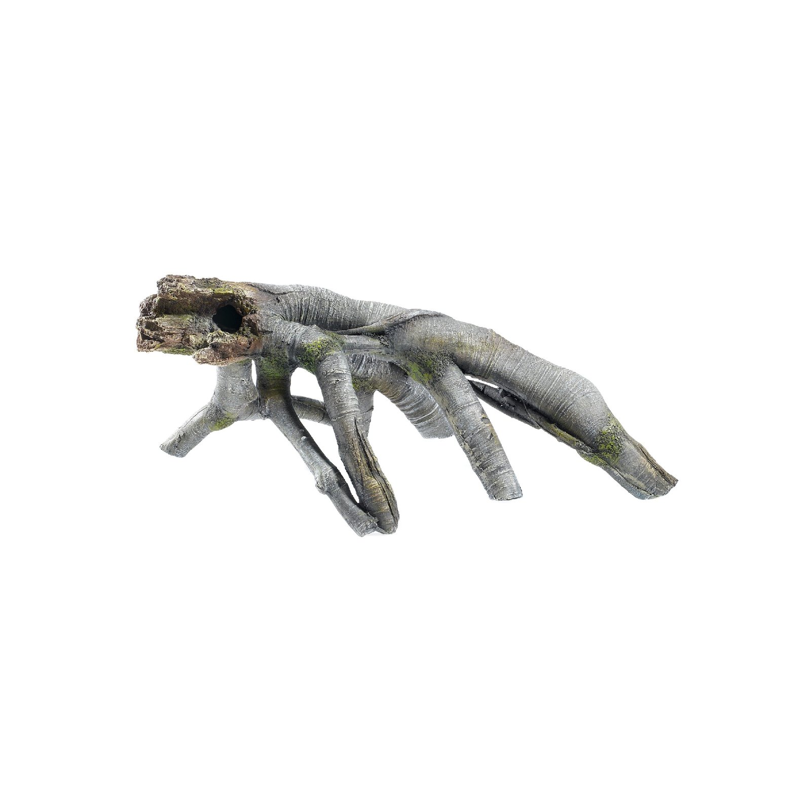 Tree Roots