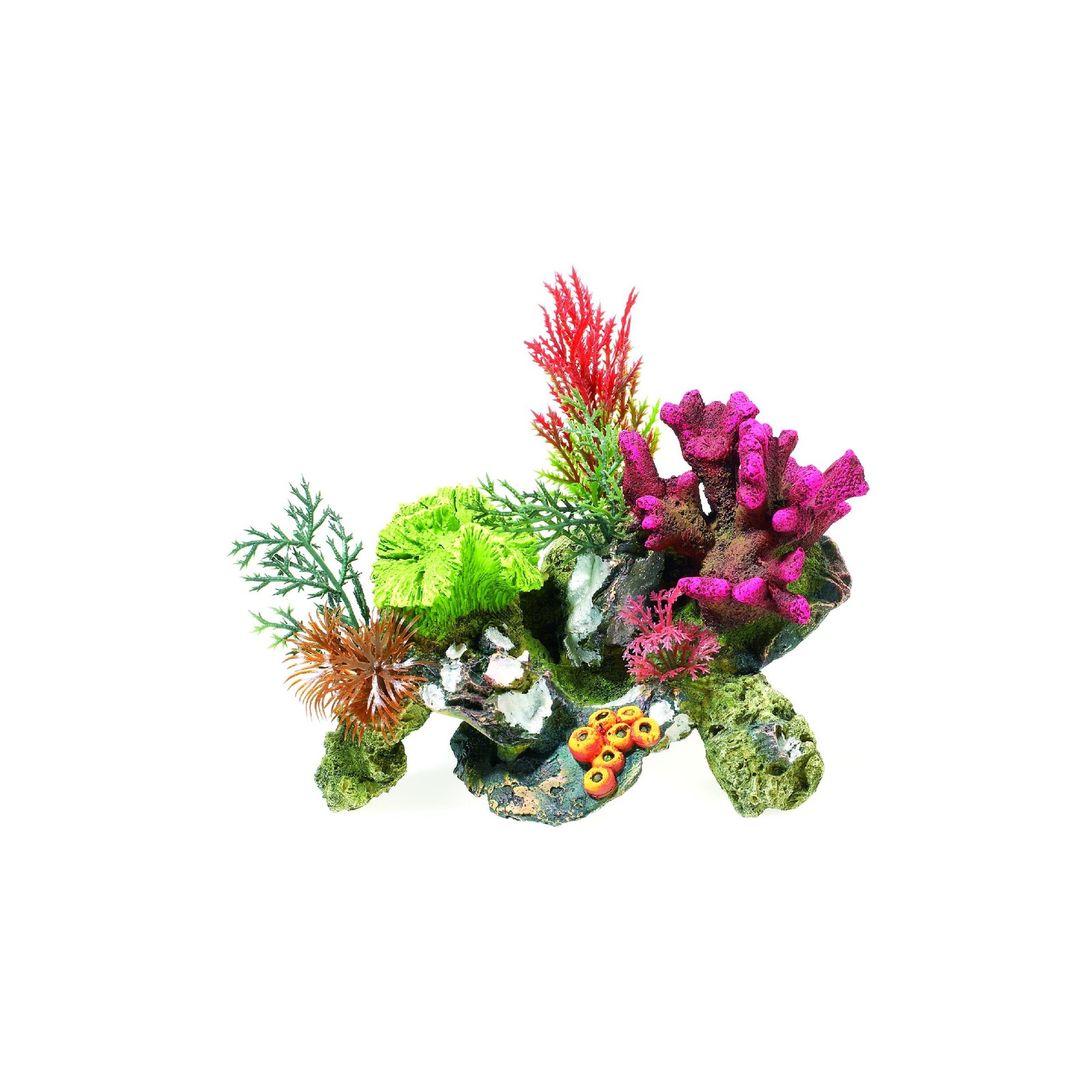 Coral Rocks with Plant