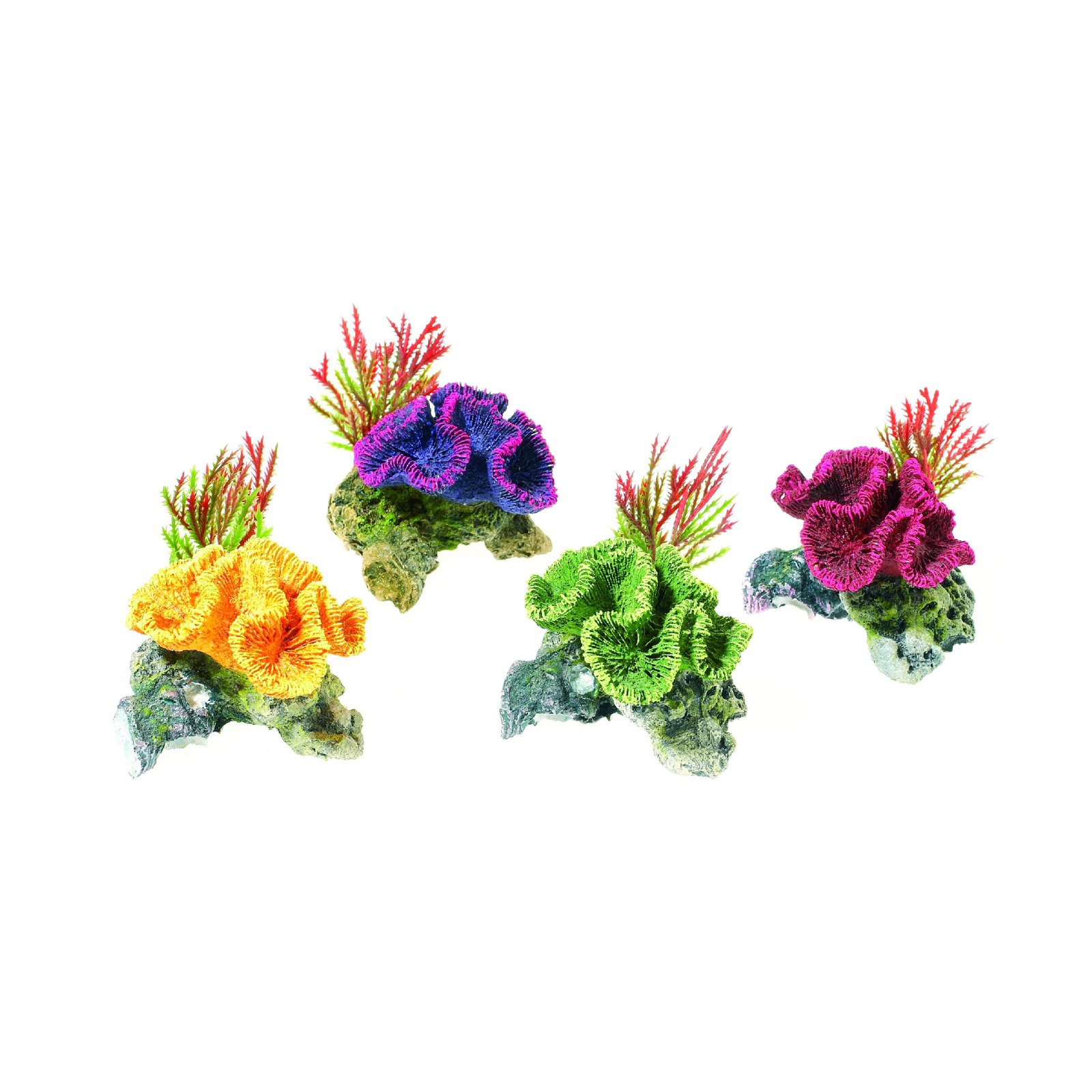Coral with Plants