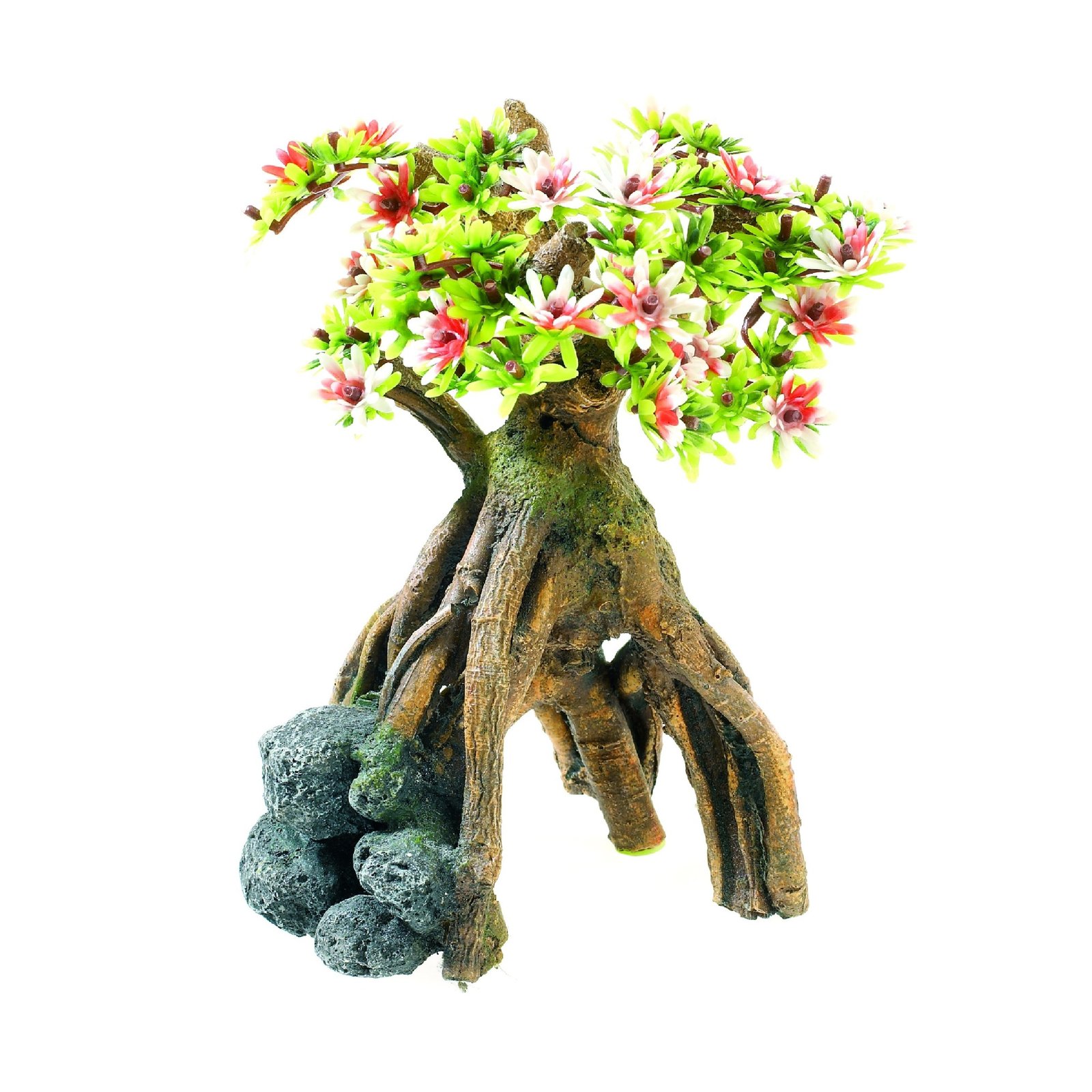 Bonsai Tree