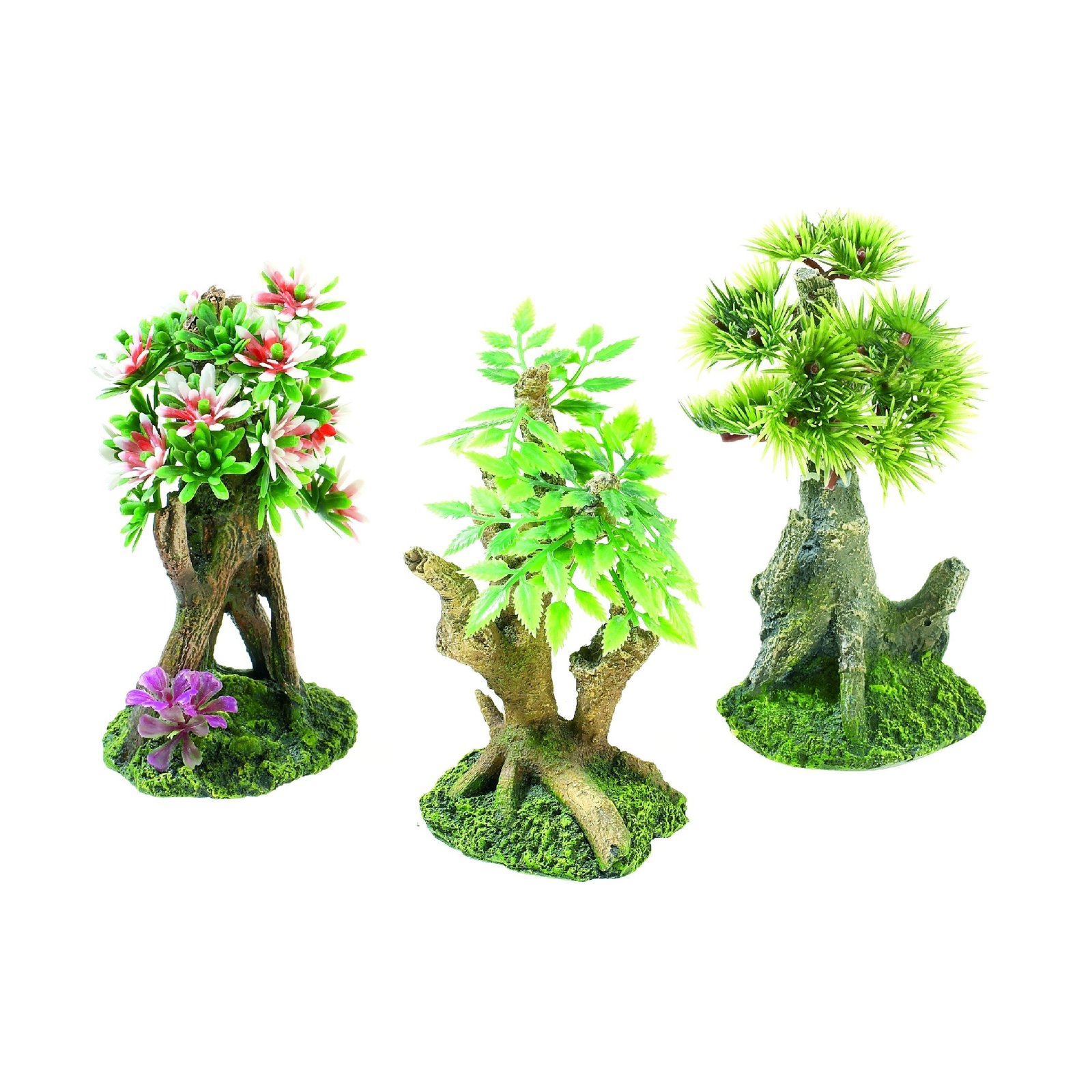 Mini Bonsai Assortment