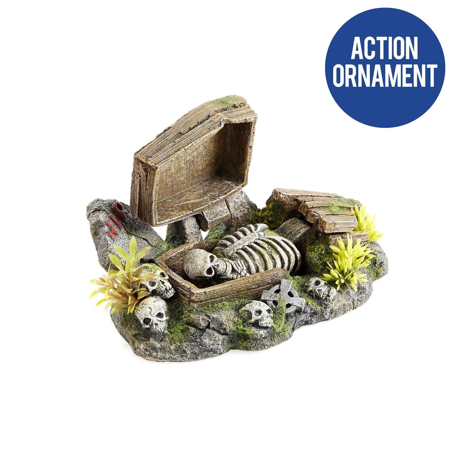 Coffin with Plants AO