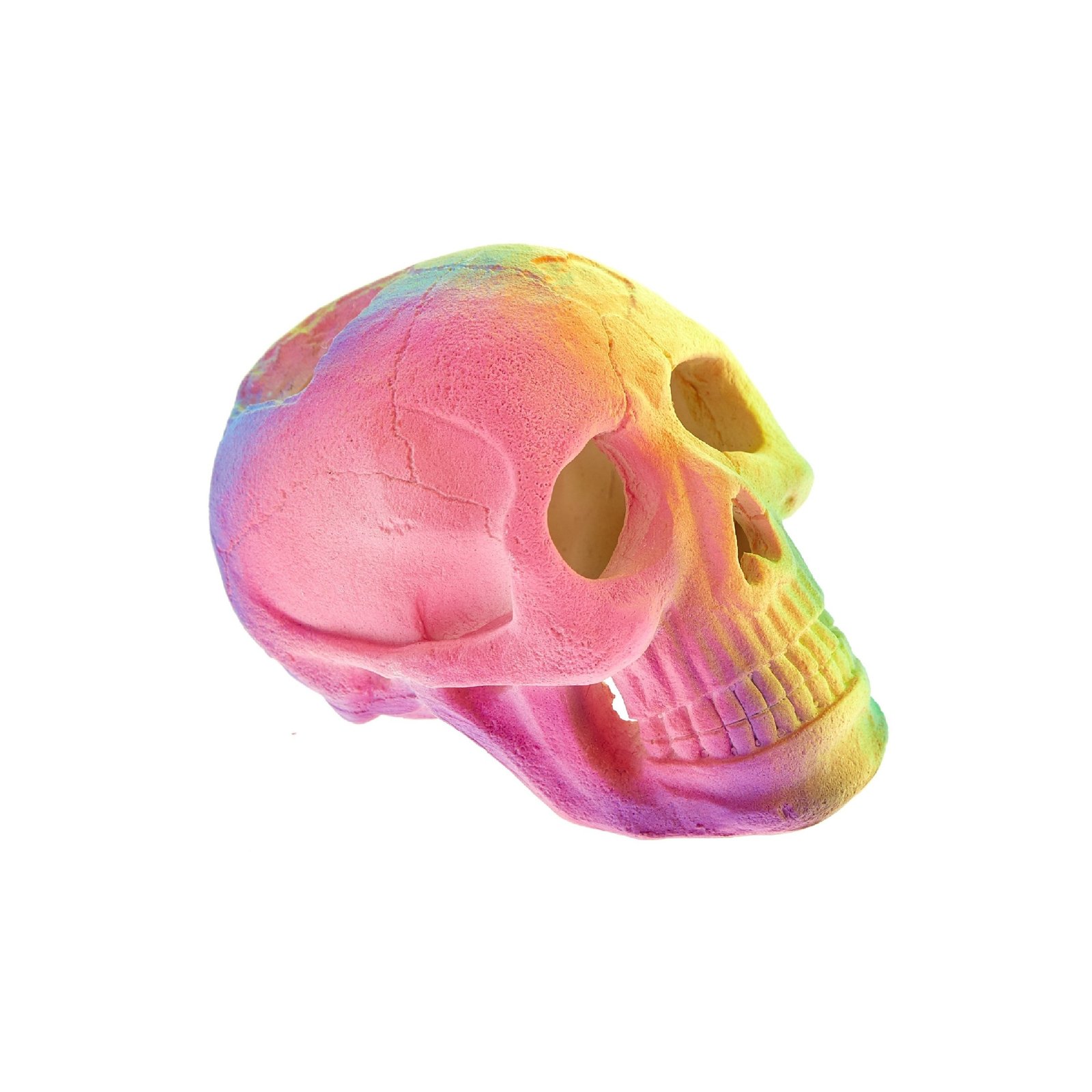 Fluorescent Skull