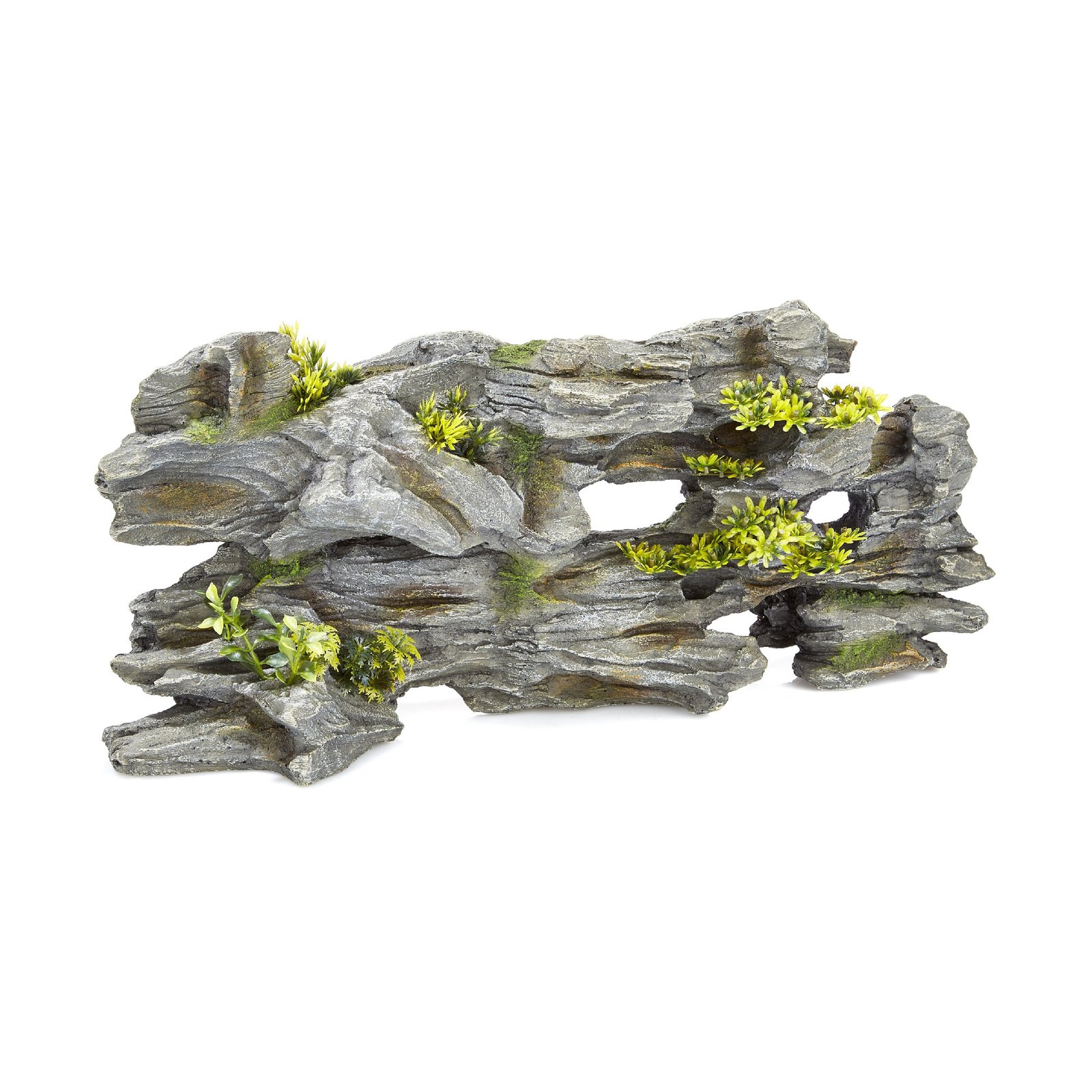 Driftwood with Plants