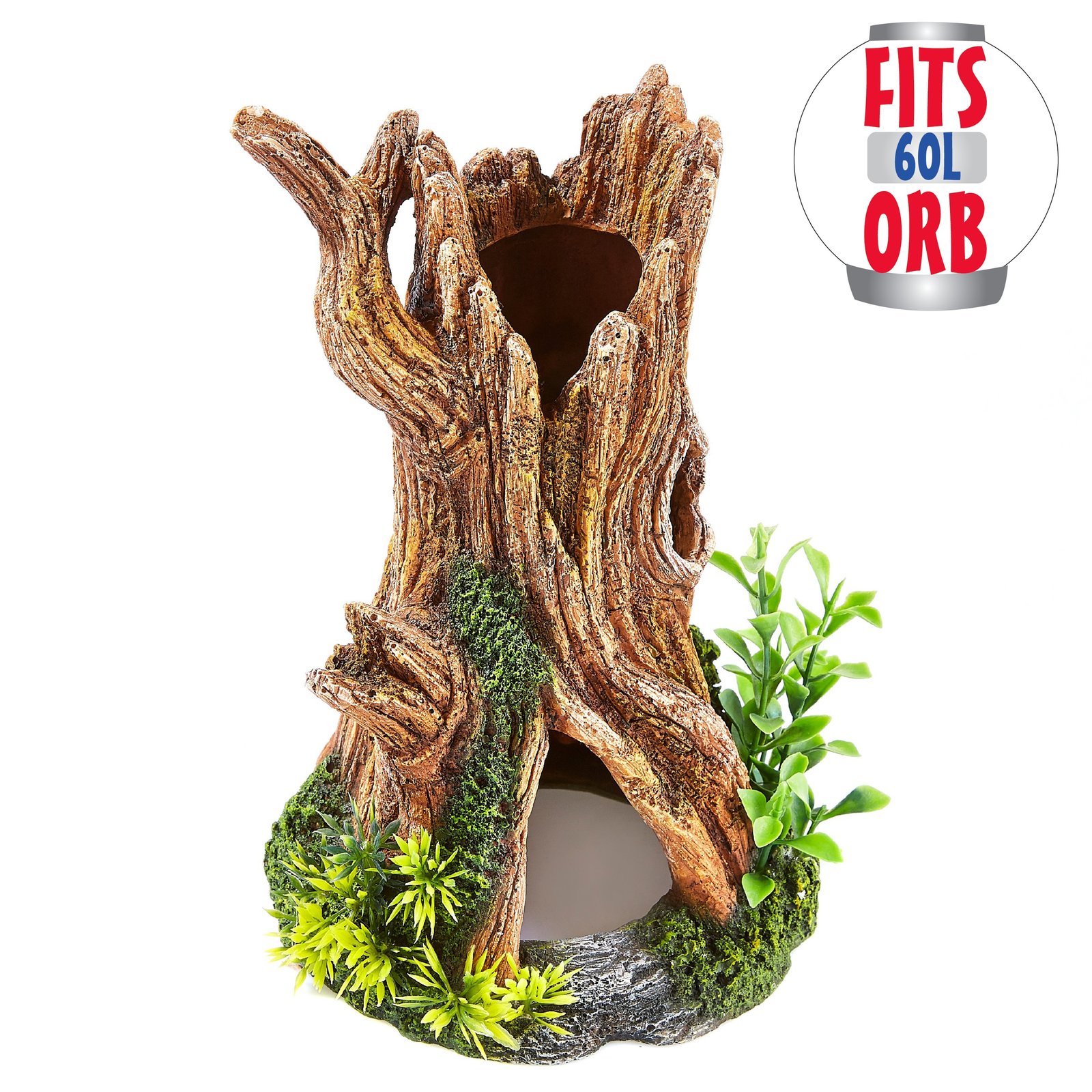 Gnarled Tree Stump with Plants T&amp;OL