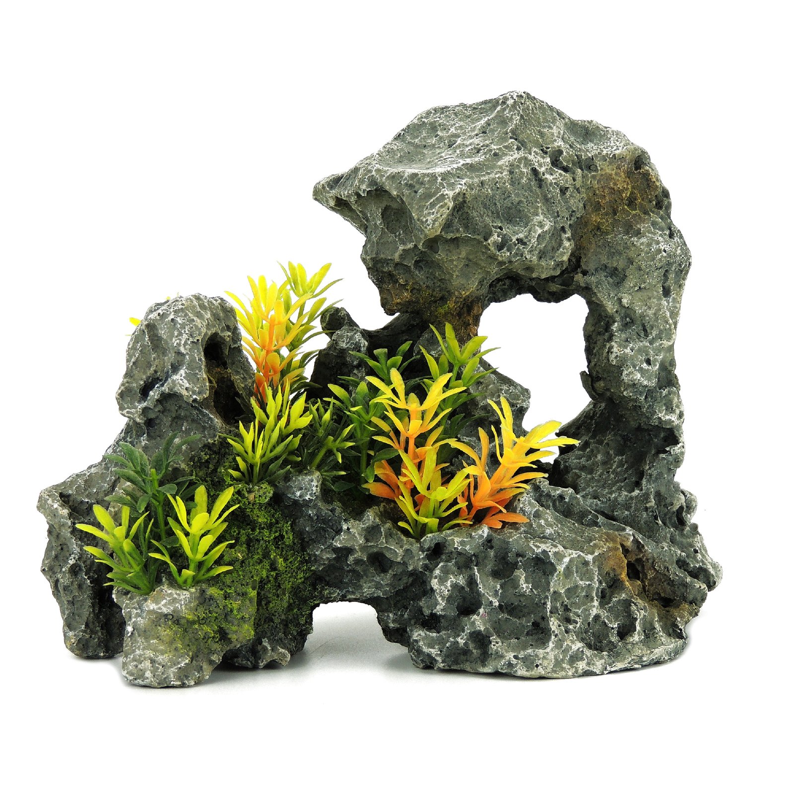 Grey rock with Plants