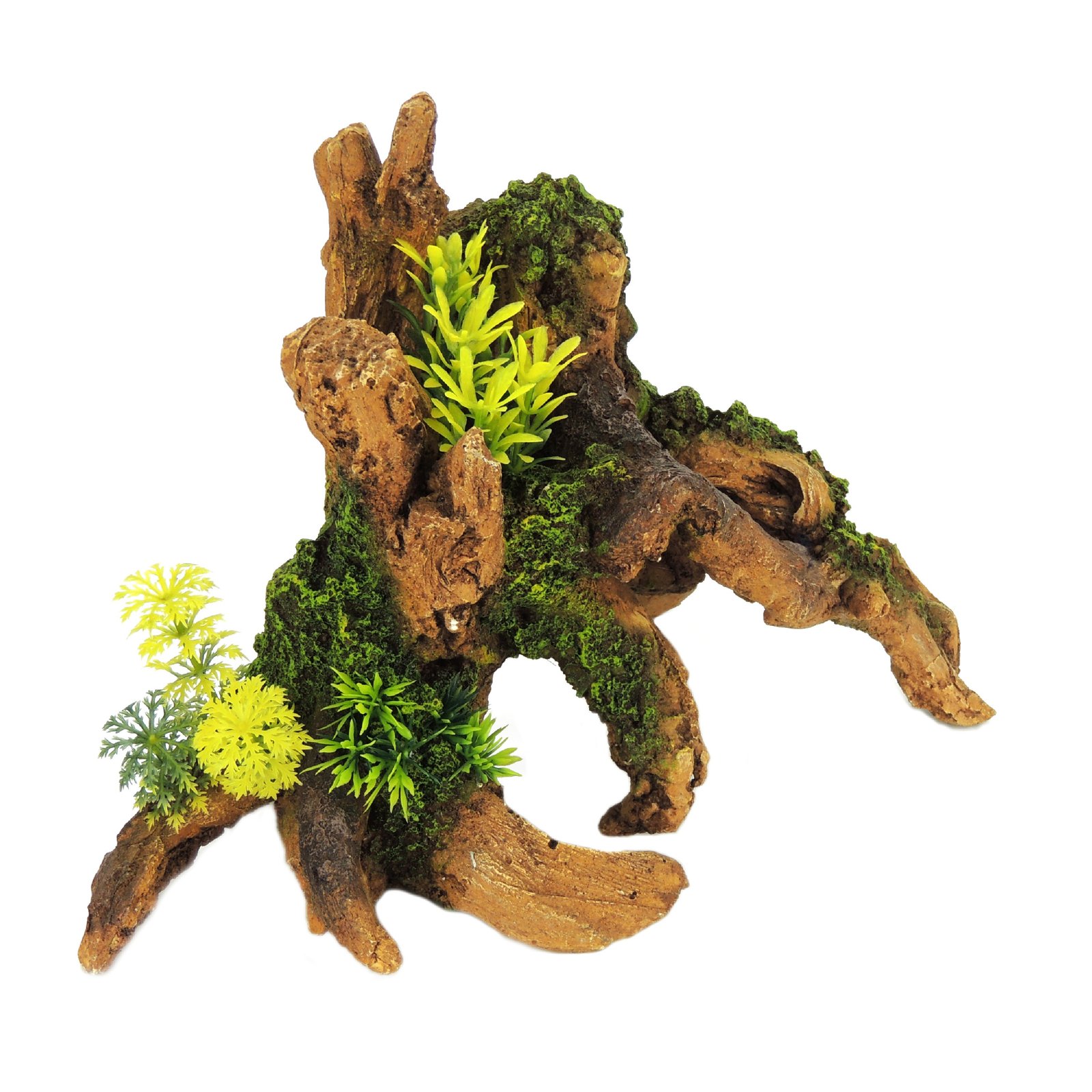 Brown Driftwood with Plants
