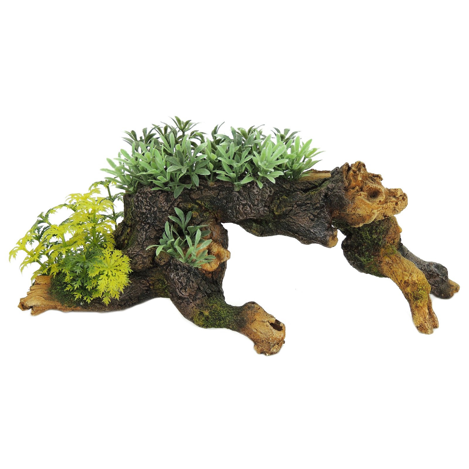 Wood with Plants