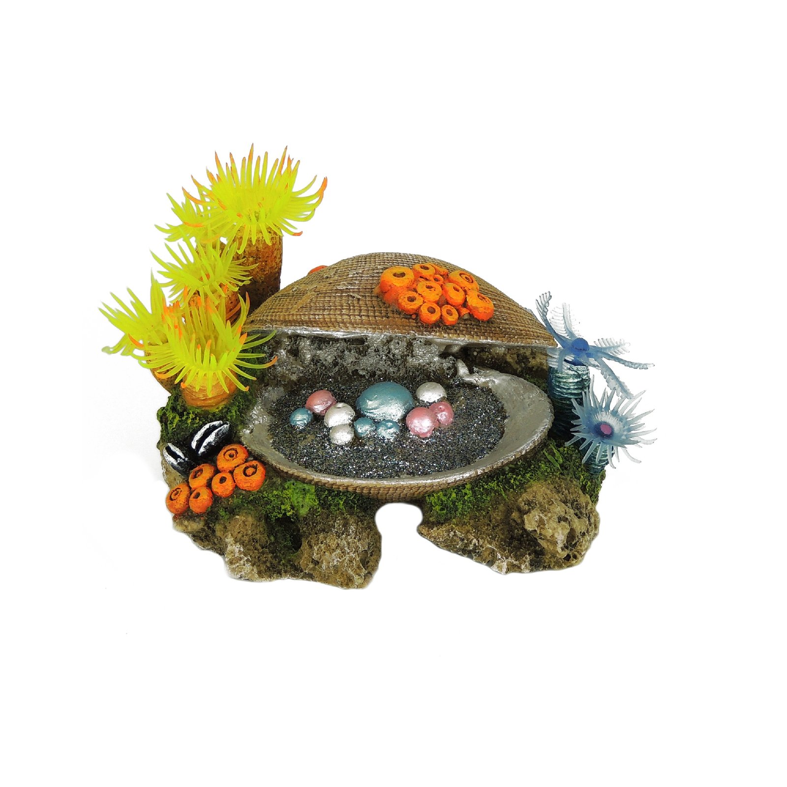 Medium Clam with Plants