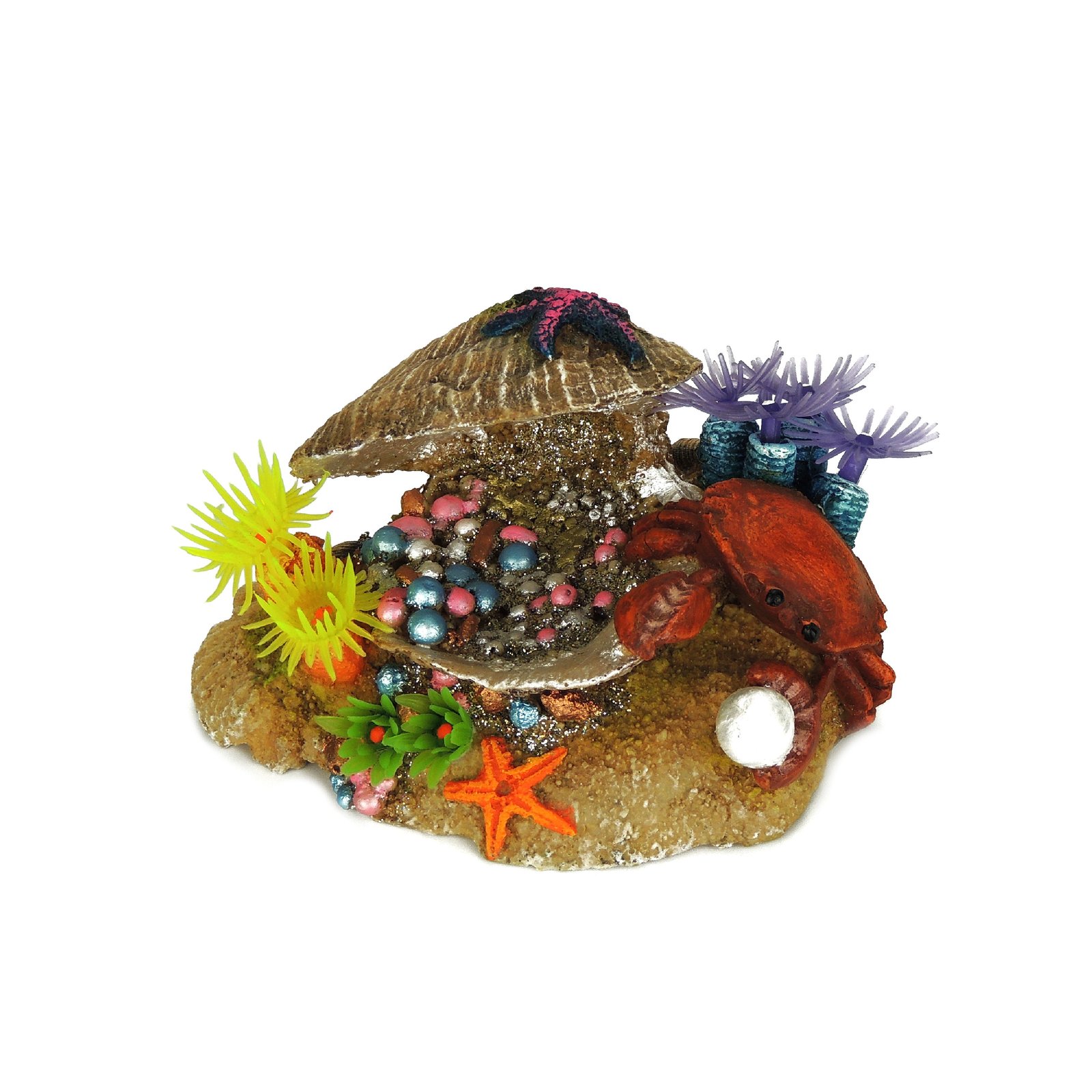 Small Clam with Plants