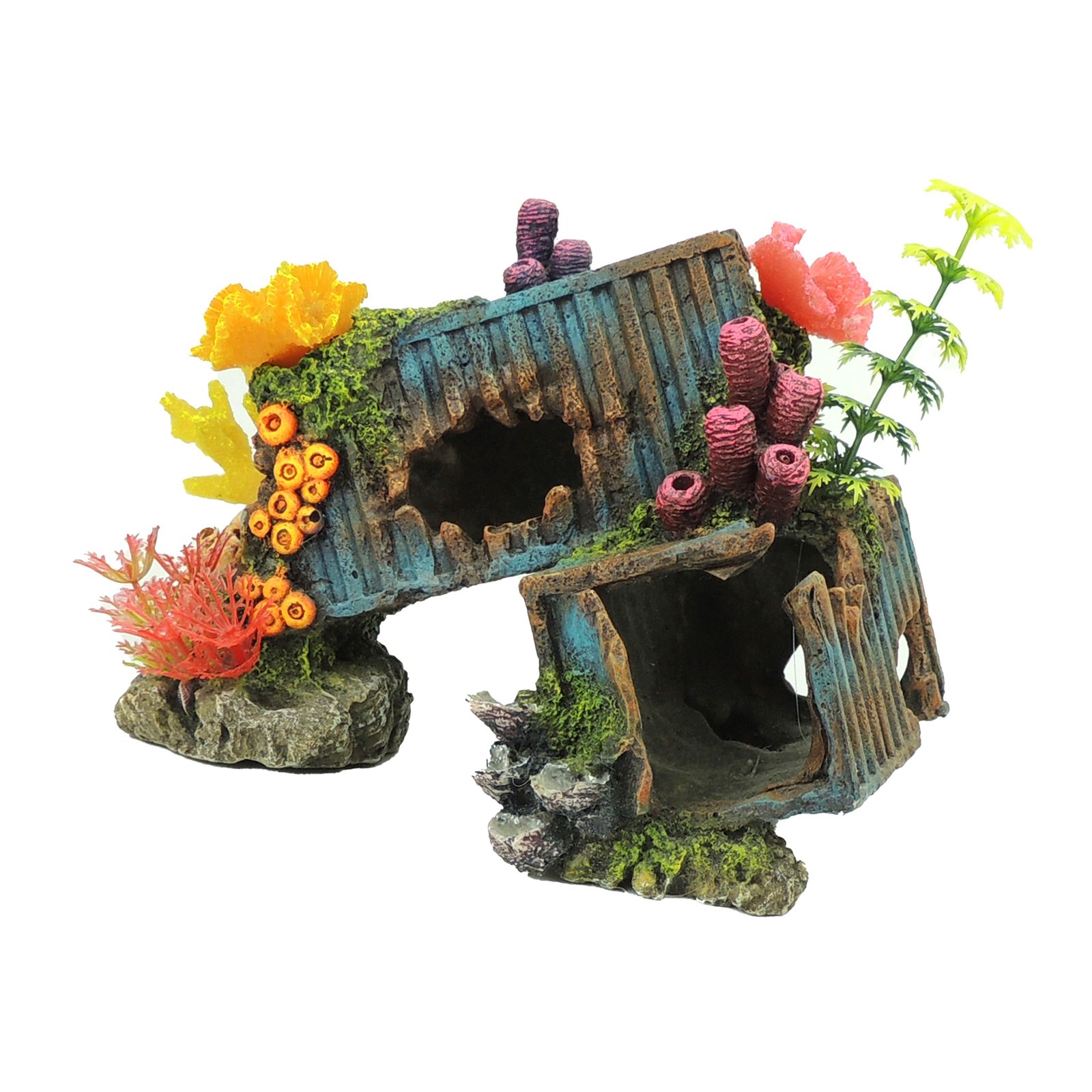 Containers with Corals with Plants