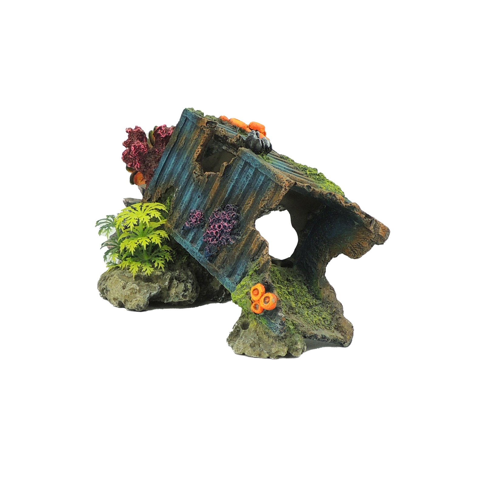 Container with Corals with Plants
