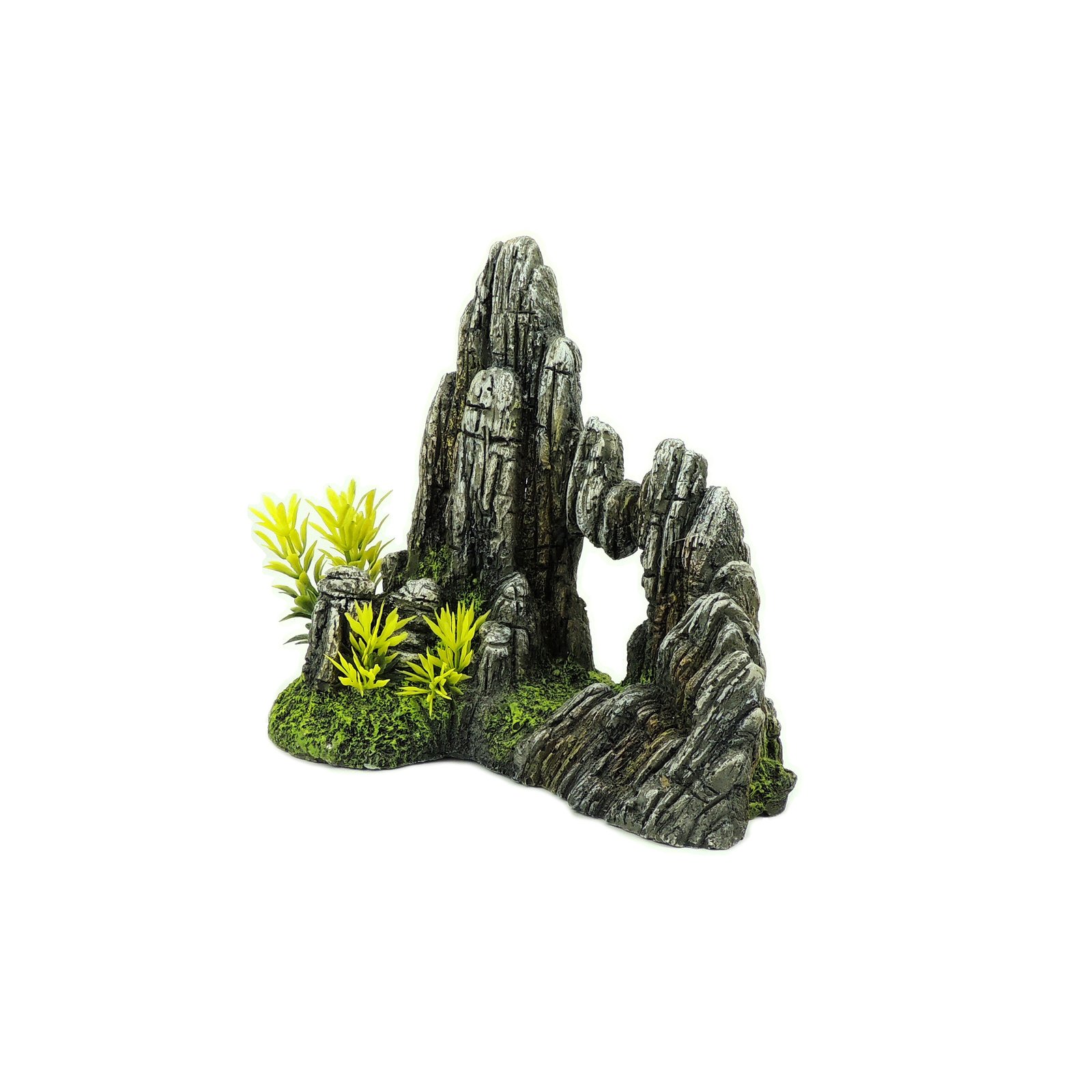 Rock Formation with Plants