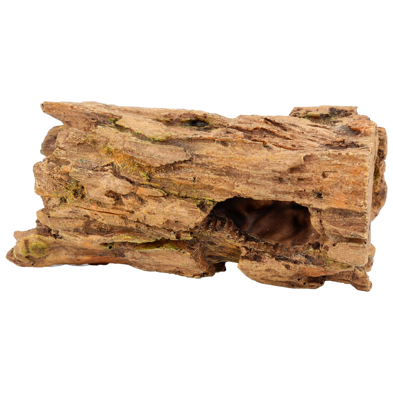 Swim Through Wood Trunk