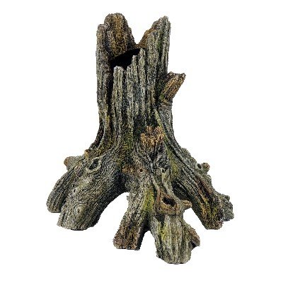 Tree Root
