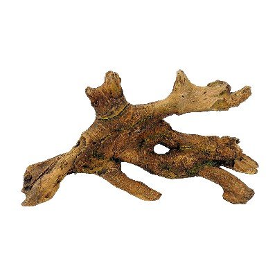 Driftwood Backdrop