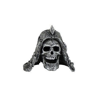 # Skull w/ Helmet