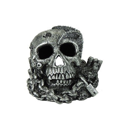 # Silver Skull