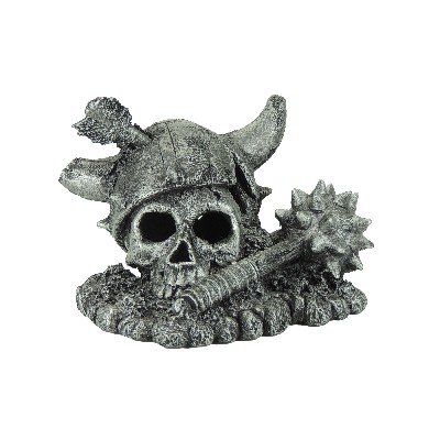 # Viking Skull