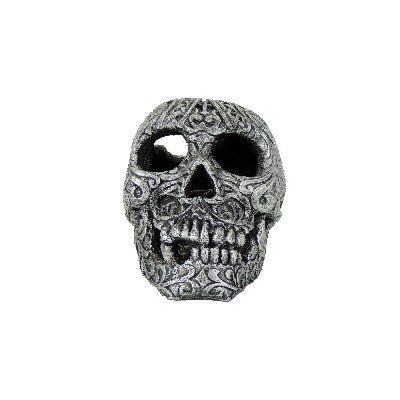 # Calavera Skull