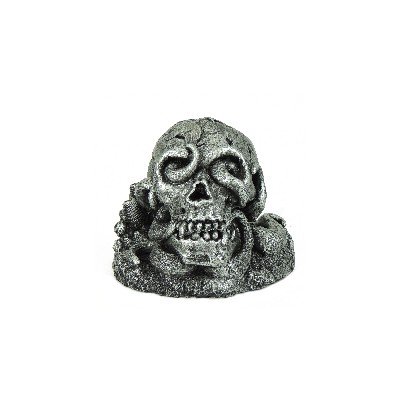 Skull with Octopus (action)