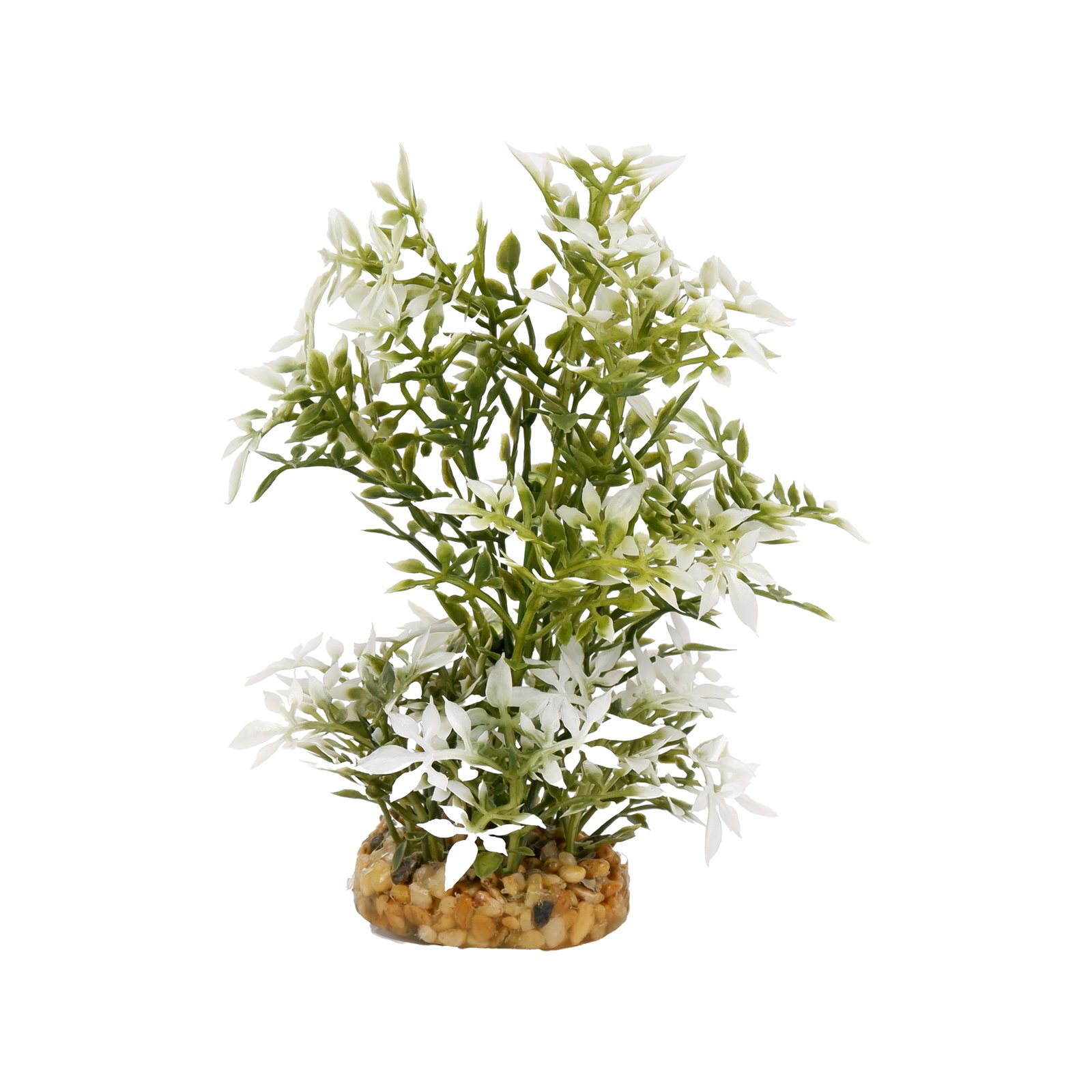 Aquatic Leaf Plant White/Dark Green