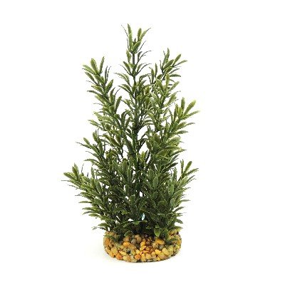 Aquatic Leaf Plant Dark Moss Green